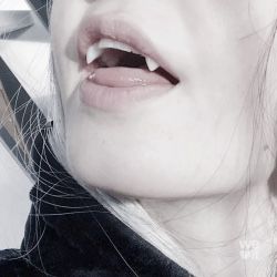 Shaun Kim